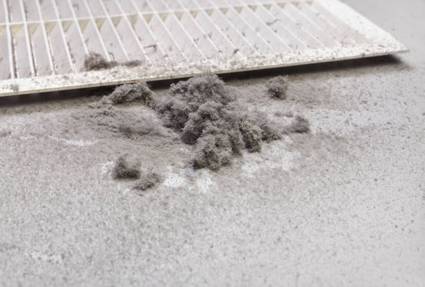 Best Ventilation Cleaning Services  in Orange Beach, AL