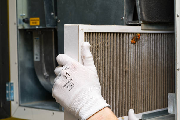 Best Home Air Vent Cleaning  in Orange Beach, AL